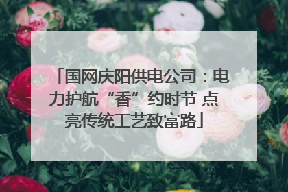 国网庆阳供电公司：电力护航“香”约时节 点亮传统工艺致富路
