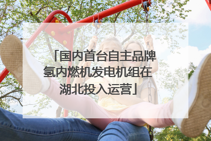 国内首台自主品牌氢内燃机发电机组在湖北投入运营
