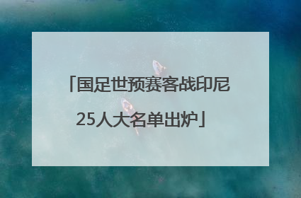 国足世预赛客战印尼25人大名单出炉