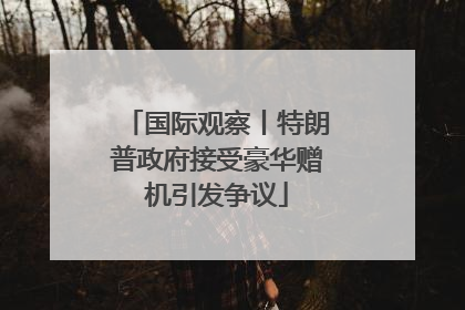 国际观察丨特朗普政府接受豪华赠机引发争议
