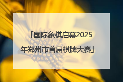 国际象棋启幕2025年郑州市首届棋牌大赛