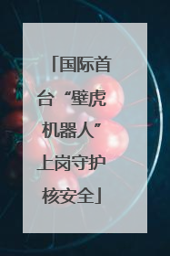 国际首台“壁虎机器人”上岗守护核安全