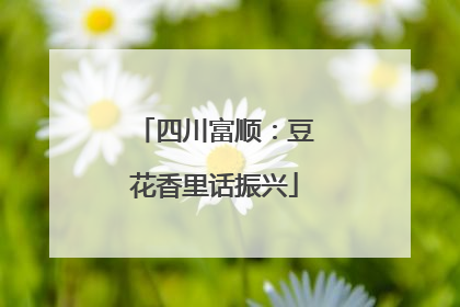四川富顺：豆花香里话振兴