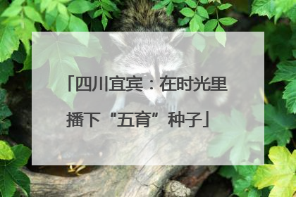 四川宜宾：在时光里播下“五育”种子