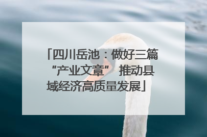 四川岳池：做好三篇“产业文章” 推动县域经济高质量发展