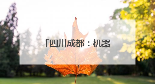 四川成都：机器人非遗节上“秀”功夫茶技艺