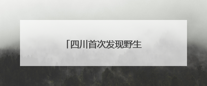 四川首次发现野生朱鹮夏季栖息行为