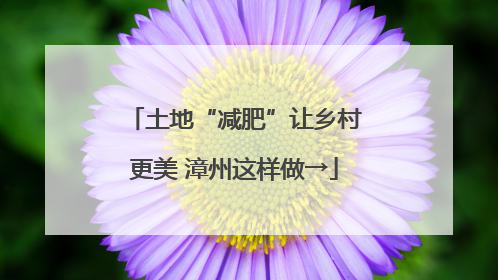土地“减肥”让乡村更美 漳州这样做→