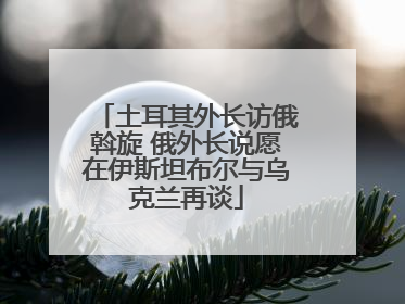 土耳其外长访俄斡旋 俄外长说愿在伊斯坦布尔与乌克兰再谈