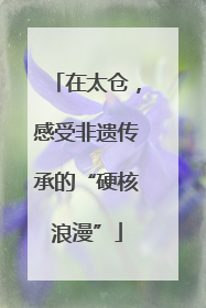 在太仓，感受非遗传承的“硬核浪漫”