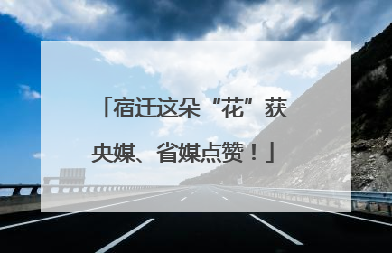 宿迁这朵“花”获央媒、省媒点赞！