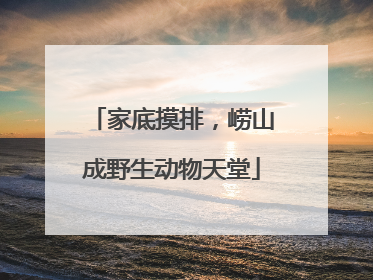 家底摸排，崂山成野生动物天堂
