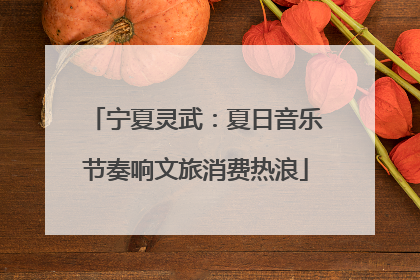宁夏灵武：夏日音乐节奏响文旅消费热浪