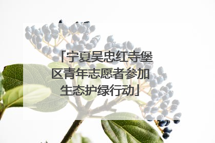 宁夏吴忠红寺堡区青年志愿者参加生态护绿行动