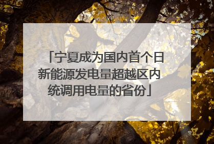 宁夏成为国内首个日新能源发电量超越区内统调用电量的省份