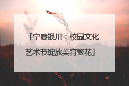 宁夏银川：校园文化艺术节绽放美育繁花
