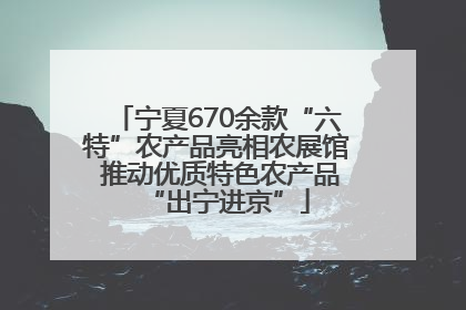 宁夏670余款“六特”农产品亮相农展馆 推动优质特色农产品“出宁进京”