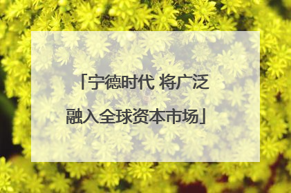 宁德时代 将广泛融入全球资本市场