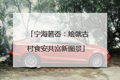 宁海箬岙：绘就古村食安共富新图景