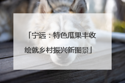 宁远：特色瓜果丰收绘就乡村振兴新图景