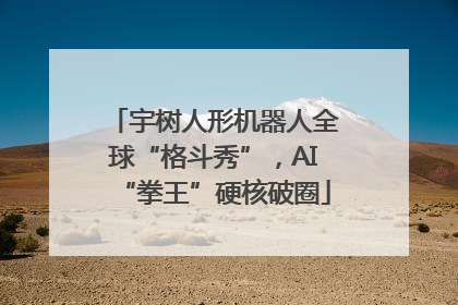 宇树人形机器人全球“格斗秀”，AI“拳王”硬核破圈