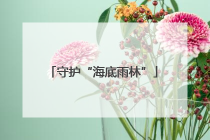 守护“海底雨林”