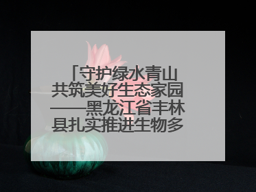 守护绿水青山 共筑美好生态家园——黑龙江省丰林县扎实推进生物多样性保护工作