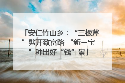 安仁竹山乡：“三板斧”劈开致富路 “新三宝”种出好“钱”景