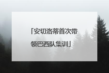 安切洛蒂首次带领巴西队集训