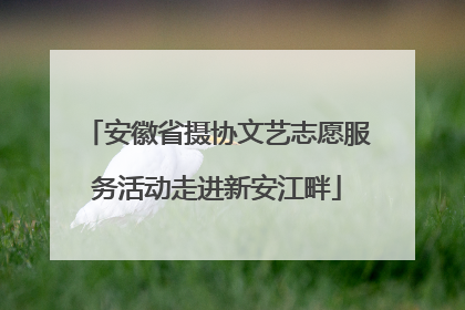 安徽省摄协文艺志愿服务活动走进新安江畔
