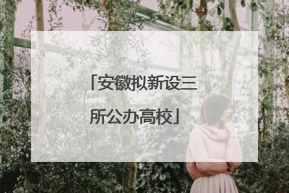 安徽拟新设三所公办高校