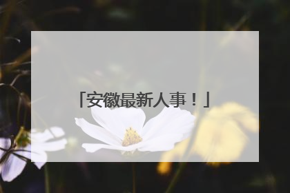 安徽最新人事！