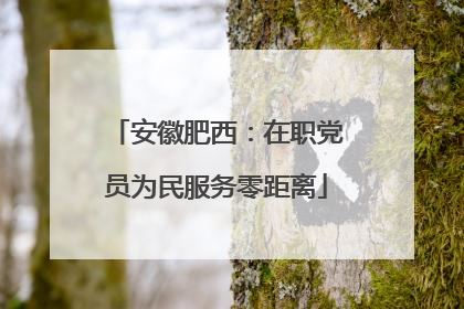 安徽肥西：在职党员为民服务零距离