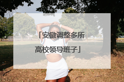 安徽调整多所高校领导班子