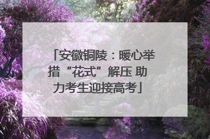 安徽铜陵：暖心举措“花式”解压 助力考生迎接高考