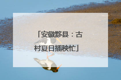 安徽黟县：古村夏日插秧忙