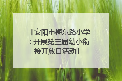 安阳市梅东路小学：开展第三届幼小衔接开放日活动