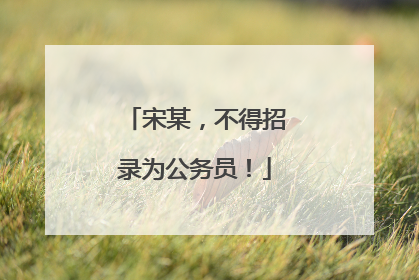 宋某，不得招录为公务员！