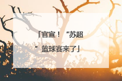官宣！“苏超”篮球赛来了