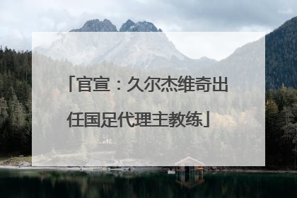 官宣：久尔杰维奇出任国足代理主教练