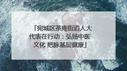 宛城区茶庵街道人大代表在行动：弘扬中医文化 把脉基层健康
