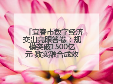 宜春市数字经济交出亮眼答卷：规模突破1500亿元 数实融合成效领跑全省（图）
