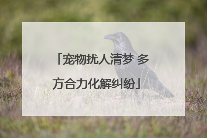 宠物扰人清梦 多方合力化解纠纷