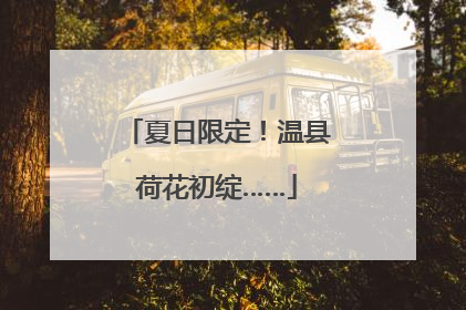 夏日限定！温县荷花初绽……