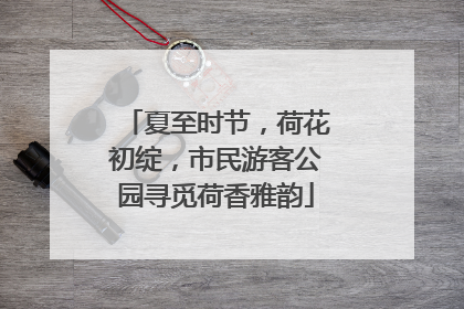 夏至时节，荷花初绽，市民游客公园寻觅荷香雅韵