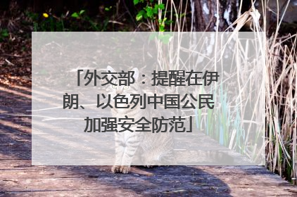 外交部：提醒在伊朗、以色列中国公民加强安全防范