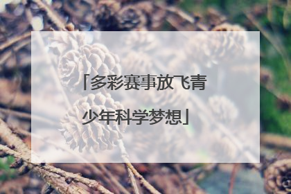 多彩赛事放飞青少年科学梦想