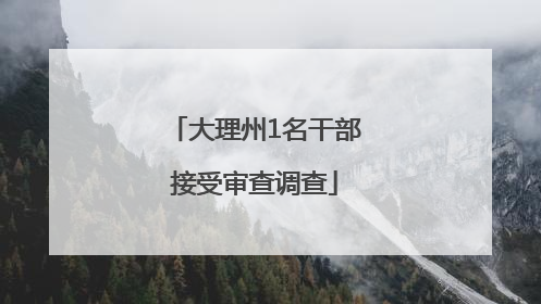 大理州1名干部接受审查调查