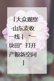 大众观察·山东麦收一线丨“一块田”打开产粮新空间