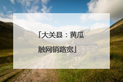 大关县：黄瓜触网销路宽